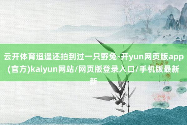 云开体育迢遥还拍到过一只野兔-开yun网页版app(官方)kaiyun网站/网页版登录入口/手机版最新