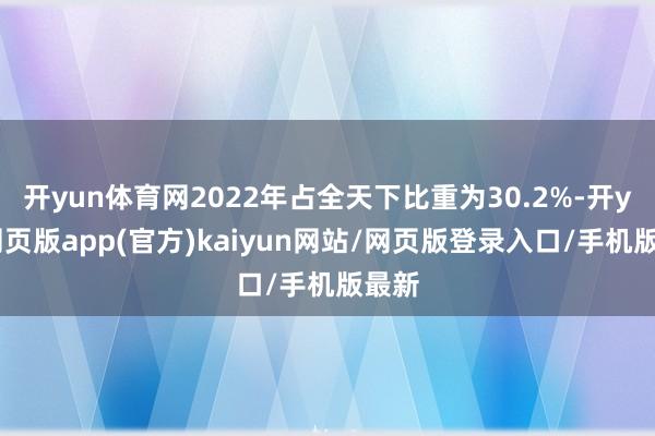 开yun体育网2022年占全天下比重为30.2%-开yun网页版app(官方)kaiyun网站/网页版登录入口/手机版最新