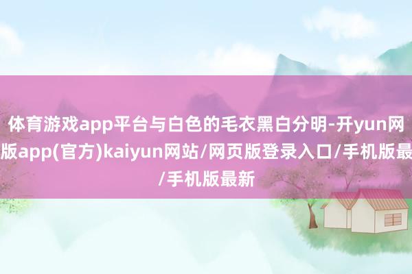 体育游戏app平台与白色的毛衣黑白分明-开yun网页版app(官方)kaiyun网站/网页版登录入口/手机版最新