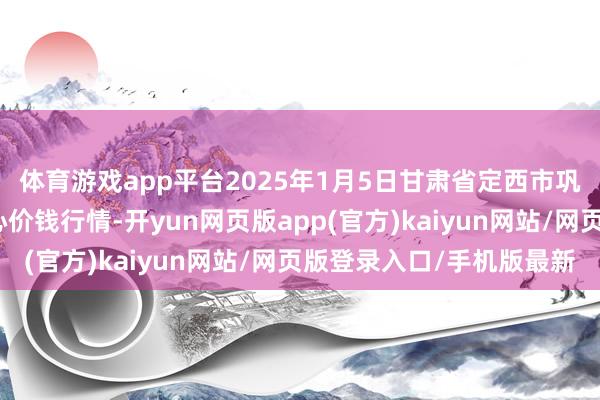 体育游戏app平台2025年1月5日甘肃省定西市巩固马铃薯空洞交往中心价钱行情-开yun网页版app(官方)kaiyun网站/网页版登录入口/手机版最新